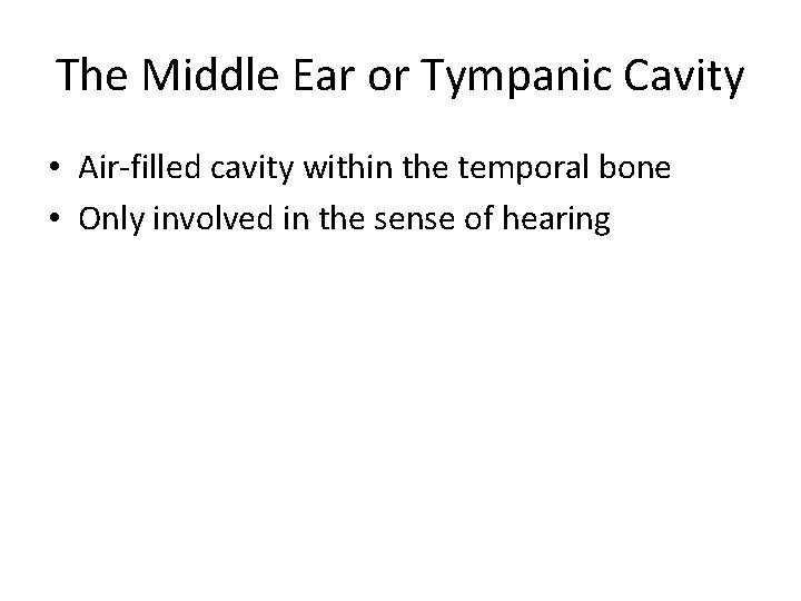 The Middle Ear or Tympanic Cavity • Air-filled cavity within the temporal bone •