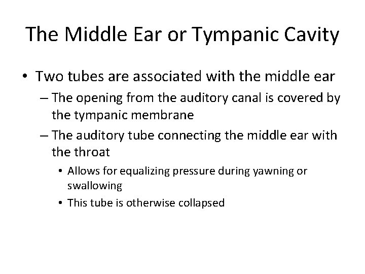 The Middle Ear or Tympanic Cavity • Two tubes are associated with the middle