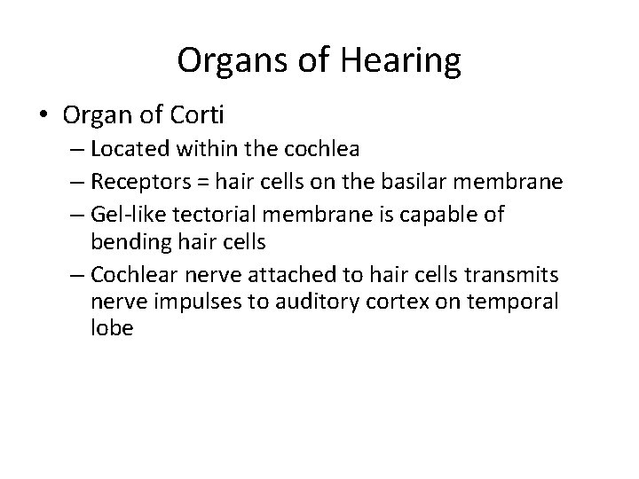 Organs of Hearing • Organ of Corti – Located within the cochlea – Receptors