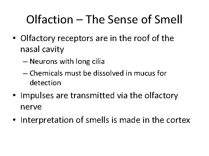 Olfaction – The Sense of Smell • Olfactory receptors are in the roof of