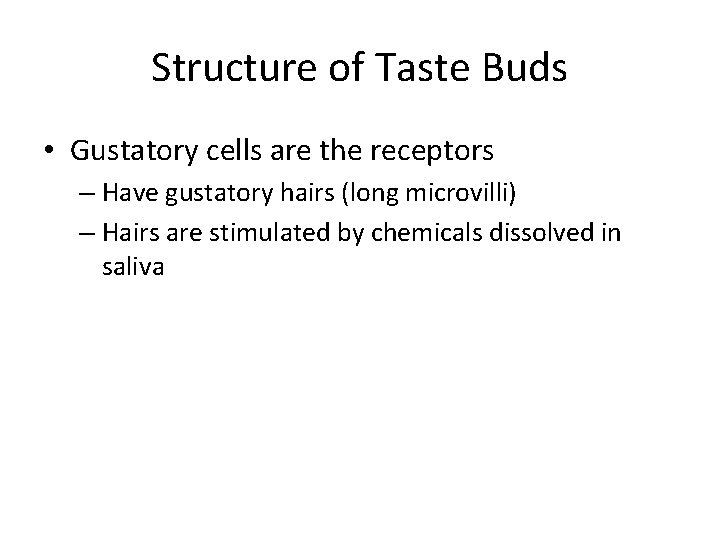 Structure of Taste Buds • Gustatory cells are the receptors – Have gustatory hairs