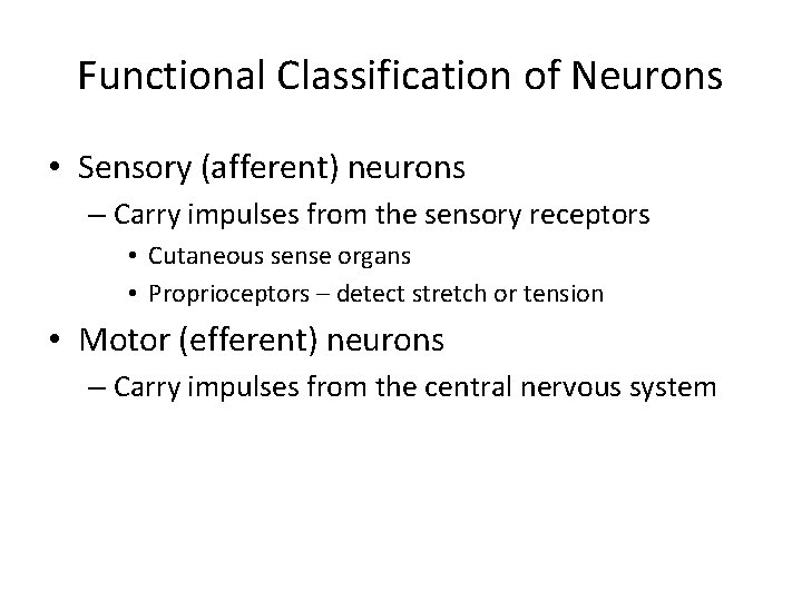 Functional Classification of Neurons • Sensory (afferent) neurons – Carry impulses from the sensory