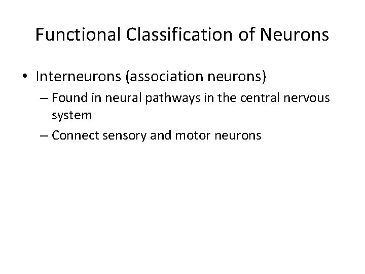 Functional Classification of Neurons • Interneurons (association neurons) – Found in neural pathways in