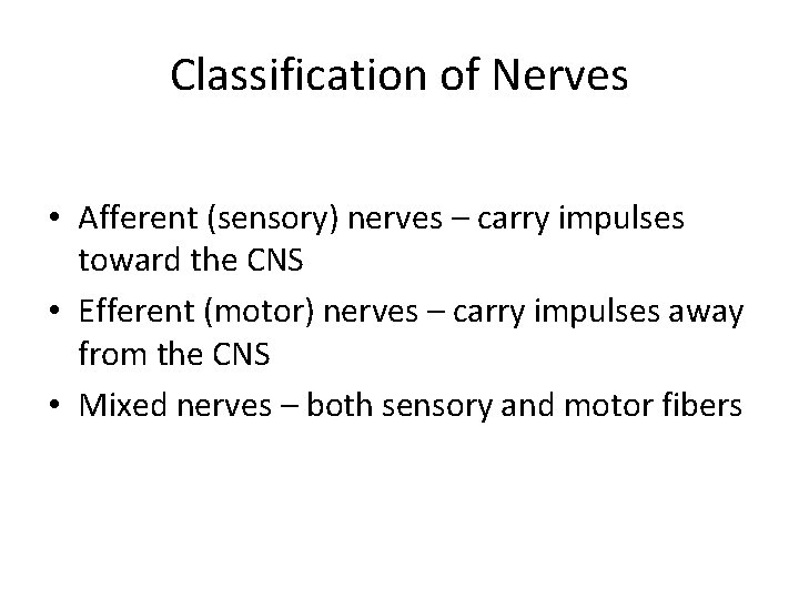 Classification of Nerves • Afferent (sensory) nerves – carry impulses toward the CNS •
