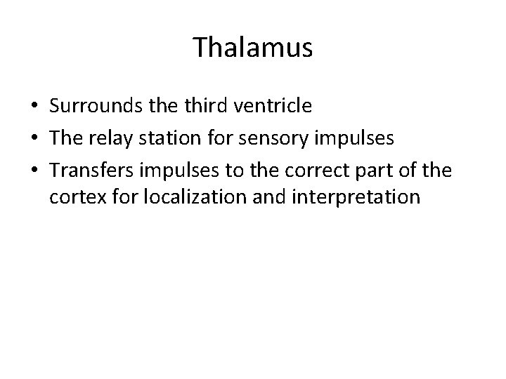 Thalamus • Surrounds the third ventricle • The relay station for sensory impulses •