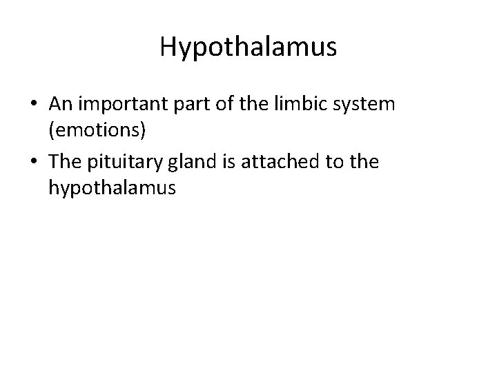 Hypothalamus • An important part of the limbic system (emotions) • The pituitary gland