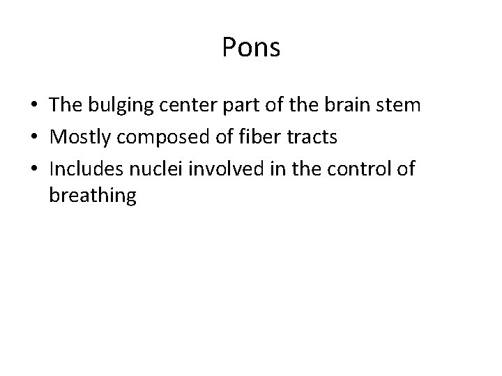 Pons • The bulging center part of the brain stem • Mostly composed of