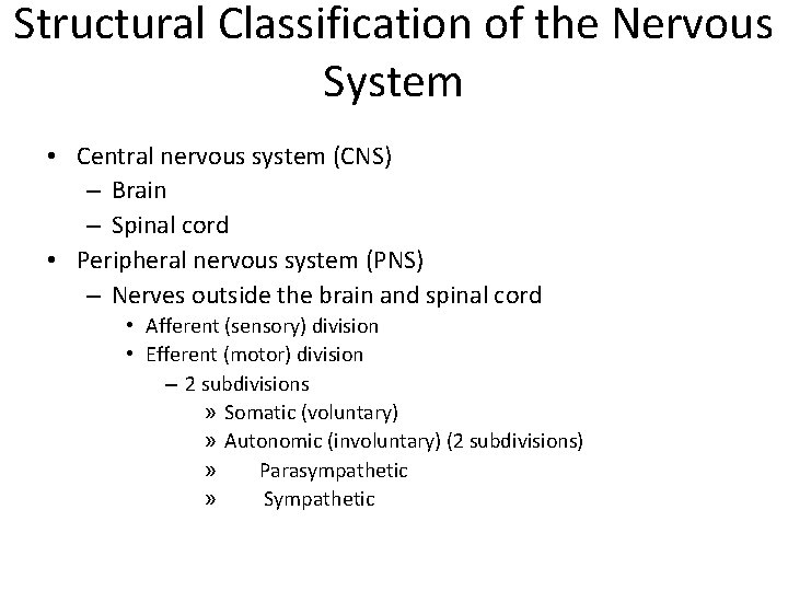 Structural Classification of the Nervous System • Central nervous system (CNS) – Brain –