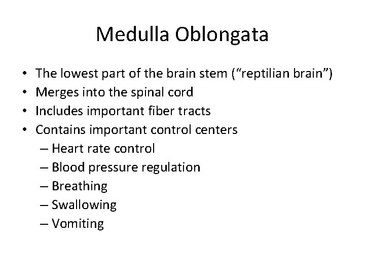 Medulla Oblongata • • The lowest part of the brain stem (“reptilian brain”) Merges
