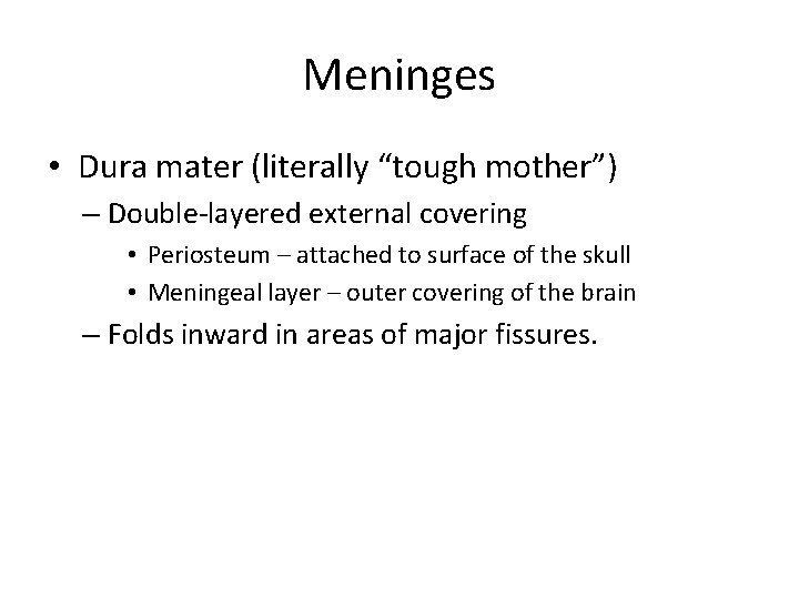 Meninges • Dura mater (literally “tough mother”) – Double-layered external covering • Periosteum –