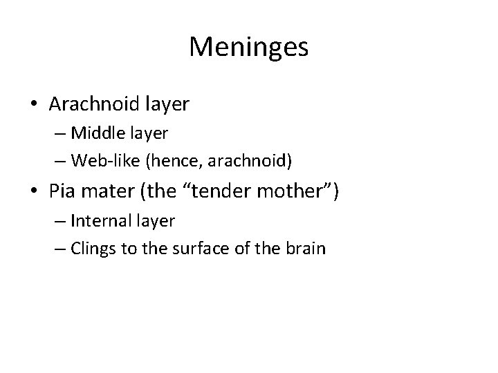 Meninges • Arachnoid layer – Middle layer – Web-like (hence, arachnoid) • Pia mater