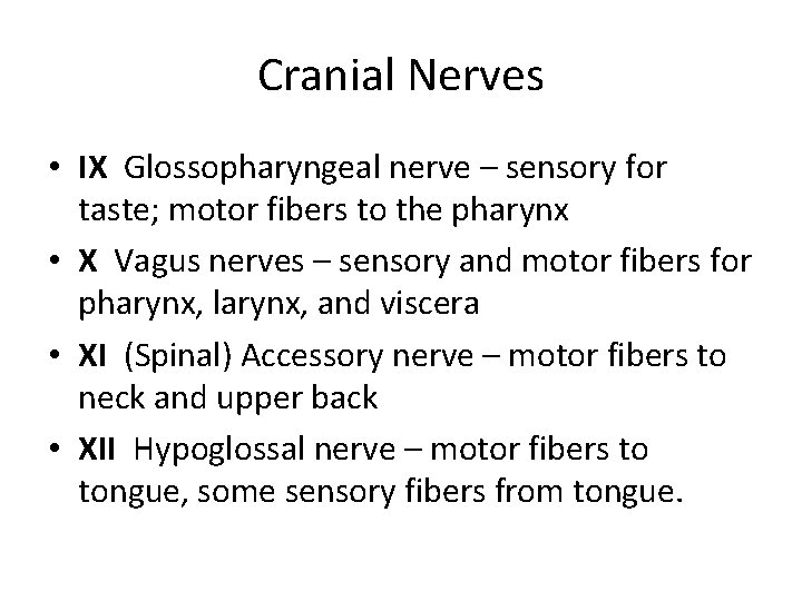 Cranial Nerves • IX Glossopharyngeal nerve – sensory for taste; motor fibers to the