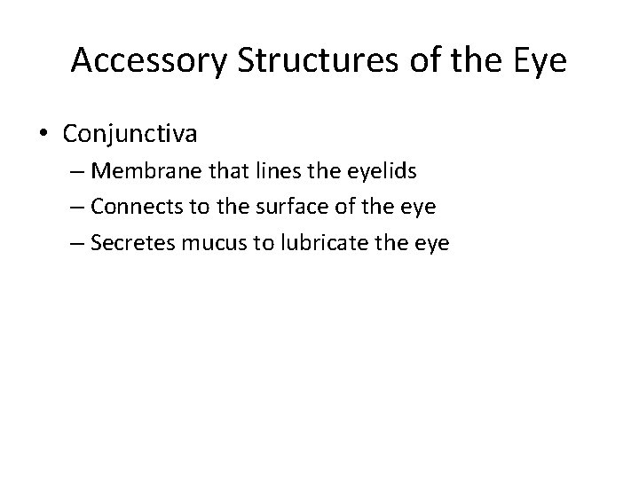 Accessory Structures of the Eye • Conjunctiva – Membrane that lines the eyelids –