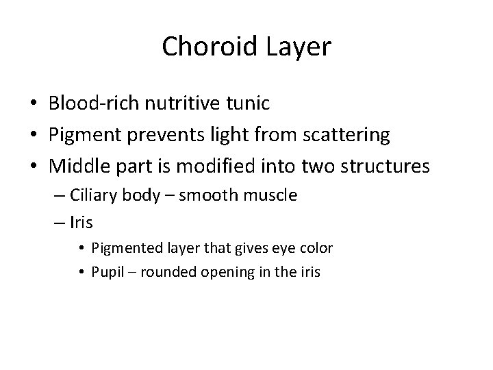 Choroid Layer • Blood-rich nutritive tunic • Pigment prevents light from scattering • Middle