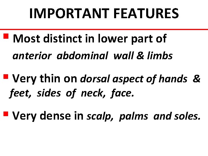 IMPORTANT FEATURES § Most distinct in lower part of anterior abdominal wall & limbs