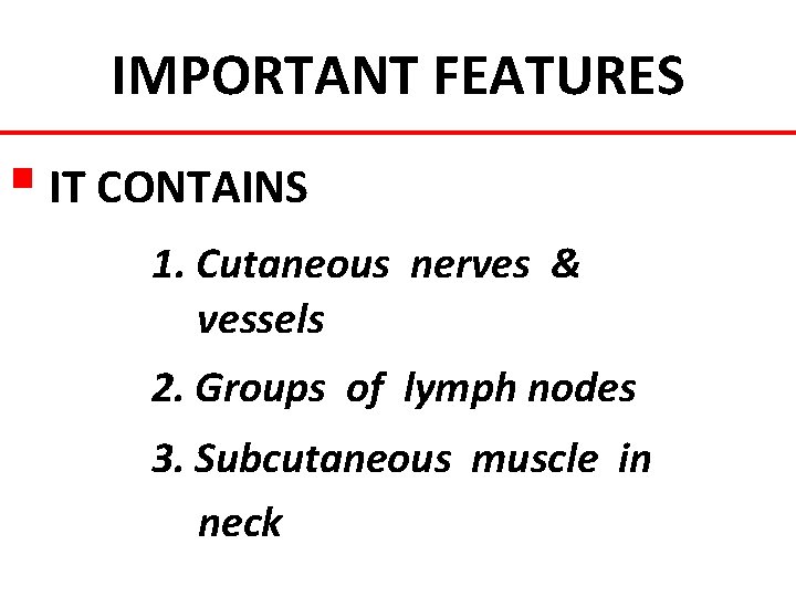 IMPORTANT FEATURES § IT CONTAINS 1. Cutaneous nerves & vessels 2. Groups of lymph