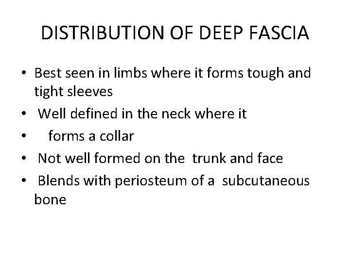 DISTRIBUTION OF DEEP FASCIA • Best seen in limbs where it forms tough and