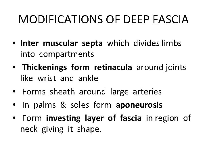 MODIFICATIONS OF DEEP FASCIA • Inter muscular septa which divides limbs into compartments •