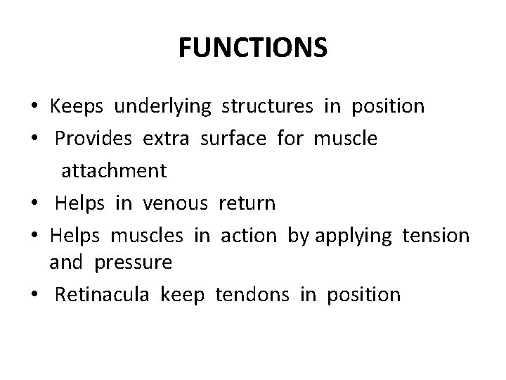 FUNCTIONS • Keeps underlying structures in position • Provides extra surface for muscle attachment