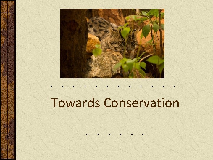 Towards Conservation 