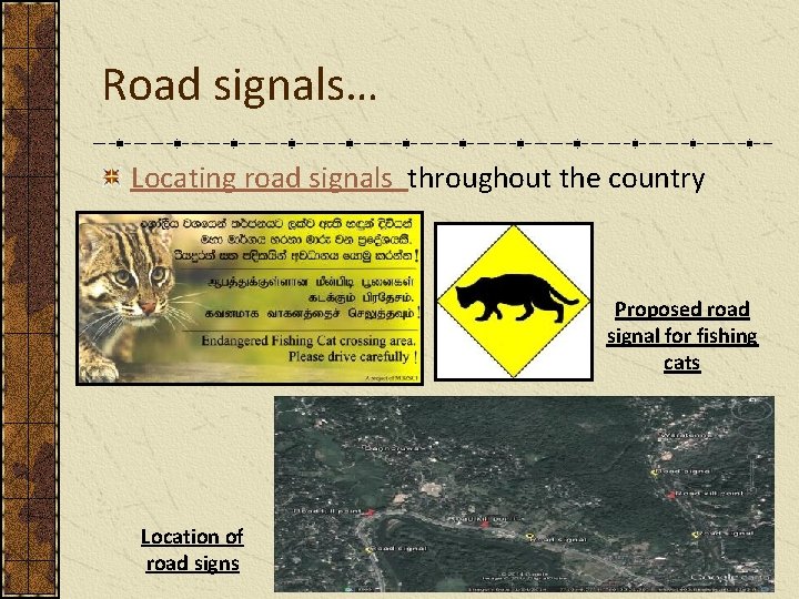 Road signals… Locating road signals throughout the country Proposed road signal for fishing cats