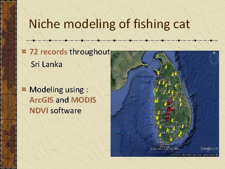 Niche modeling of fishing cat 72 records throughout Sri Lanka Modeling using : Arc.
