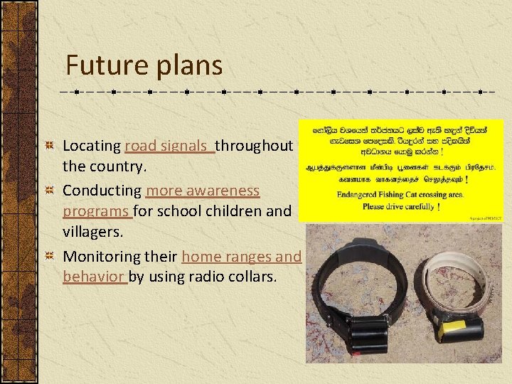 Future plans Locating road signals throughout the country. Conducting more awareness programs for school