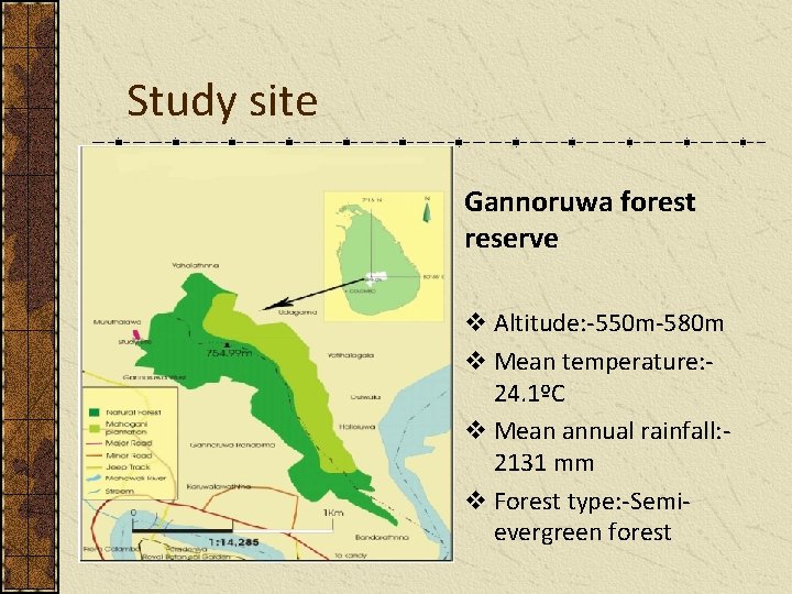Study site Gannoruwa forest reserve v Altitude: -550 m-580 m v Mean temperature: 24.