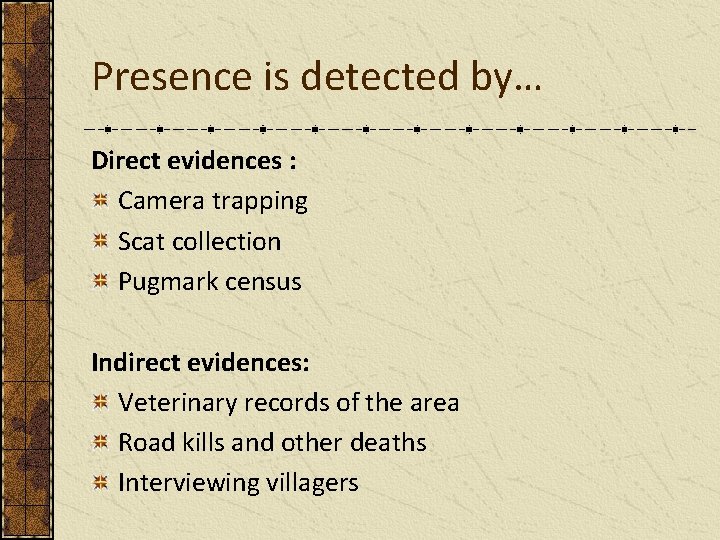 Presence is detected by… Direct evidences : Camera trapping Scat collection Pugmark census Indirect