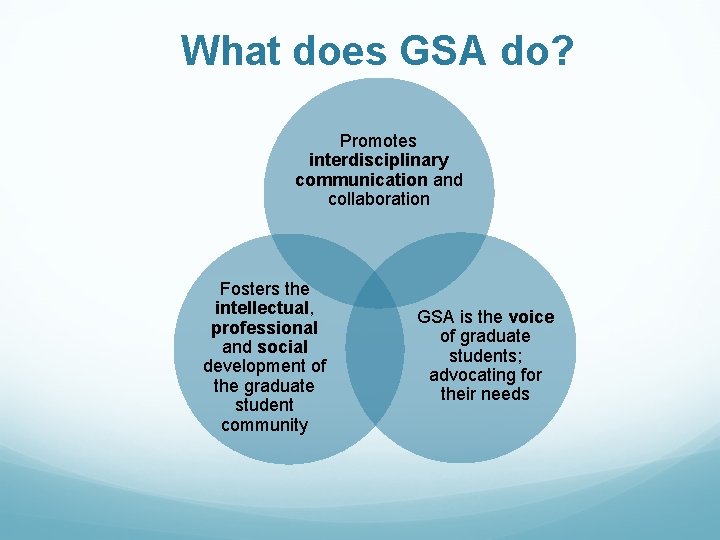 What does GSA do? Promotes interdisciplinary communication and collaboration Fosters the intellectual, professional and