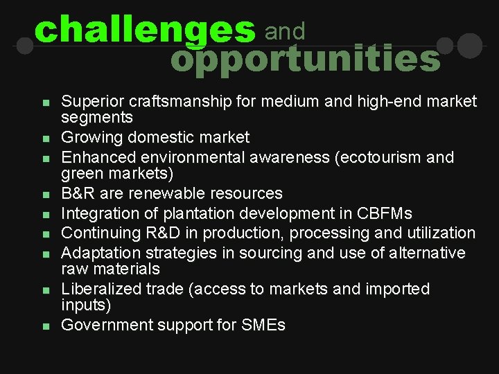 challenges and opportunities n n n n n Superior craftsmanship for medium and high-end