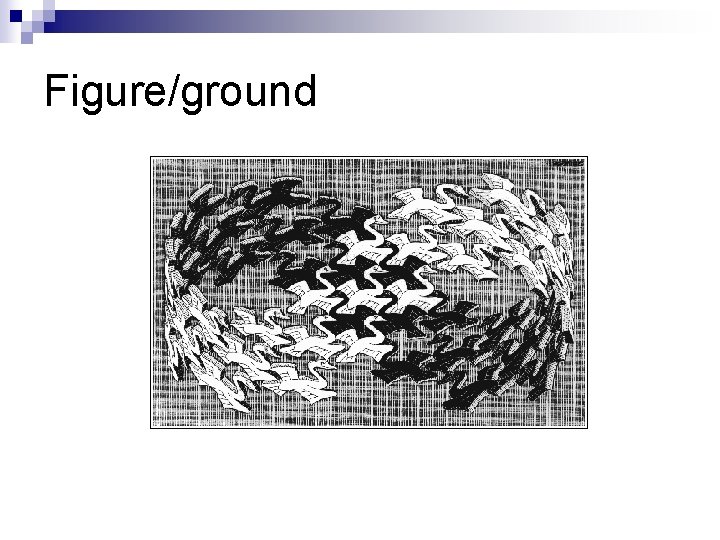 Figure/ground 