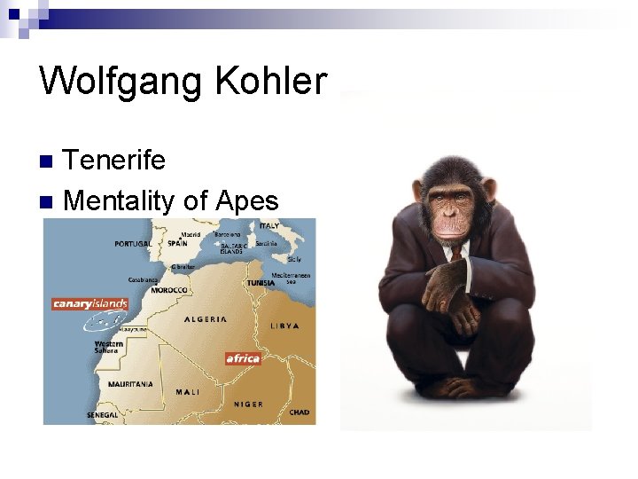 Wolfgang Kohler Tenerife n Mentality of Apes n 