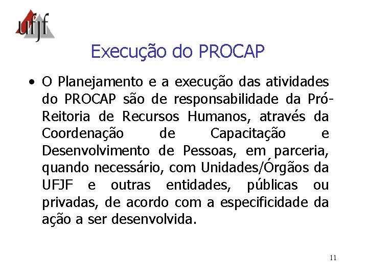 Execução do PROCAP • O Planejamento e a execução das atividades do PROCAP são