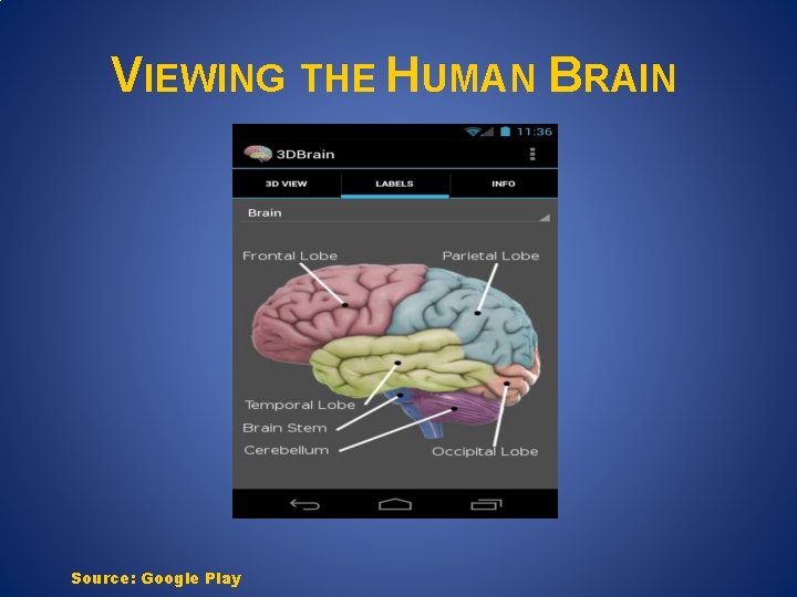 VIEWING THE HUMAN BRAIN Source: Google Play VIEWING THE HUMAN BRAIN Source: Google Play