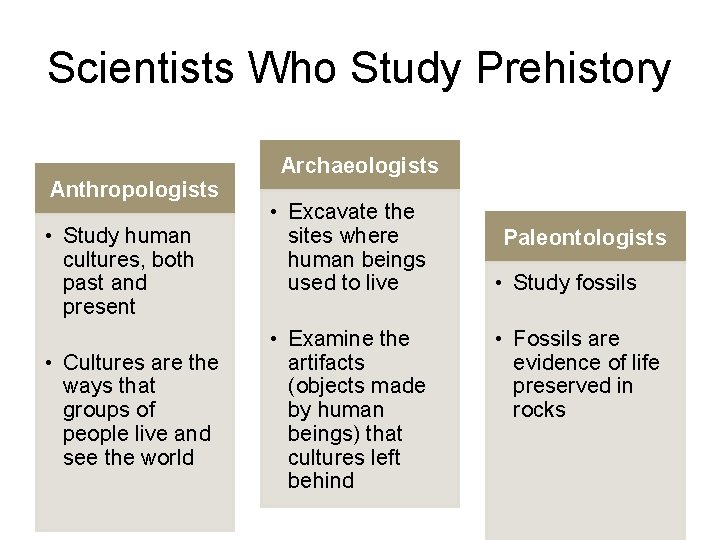 Scientists Who Study Prehistory Anthropologists • Study human cultures, both past and present •