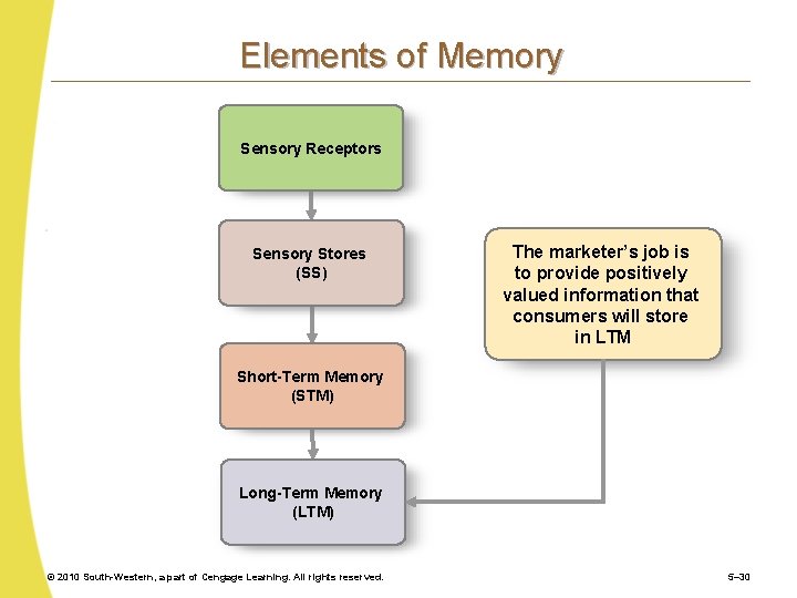 Elements of Memory Sensory Receptors Sensory Stores (SS) The marketer’s job is to provide