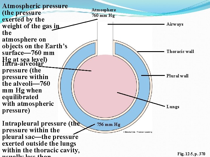 Atmospheric pressure (the pressure exerted by the weight of the gas in the atmosphere Atmospheric pressure (the pressure exerted by the weight of the gas in the atmosphere