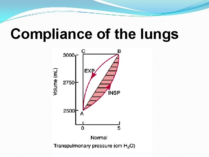 Compliance of the lungs Compliance of the lungs