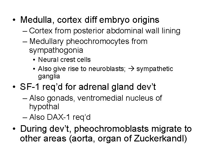  • Medulla, cortex diff embryo origins – Cortex from posterior abdominal wall lining