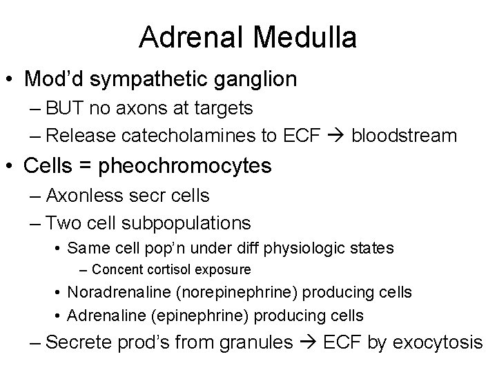 Adrenal Medulla • Mod’d sympathetic ganglion – BUT no axons at targets – Release