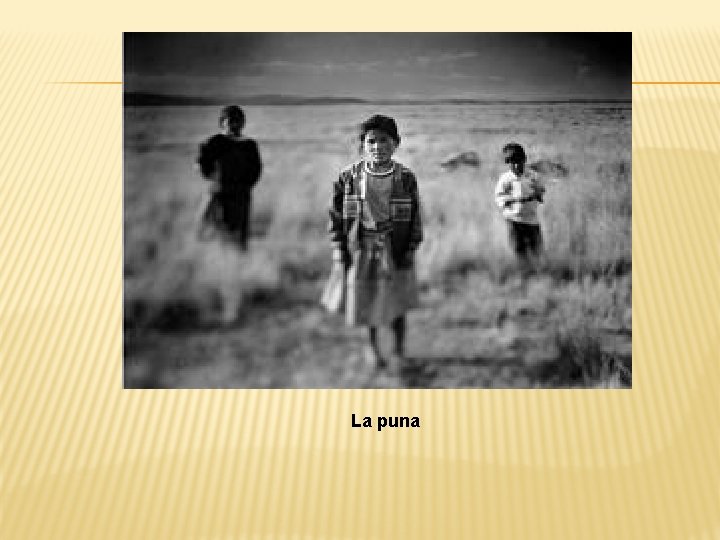 La puna 
