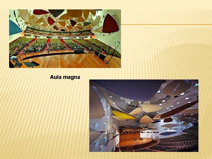 Aula magna 