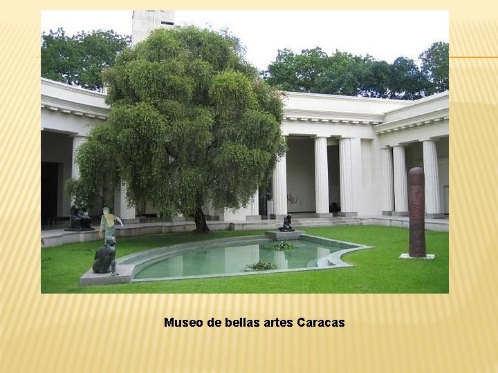 Museo de bellas artes Caracas 