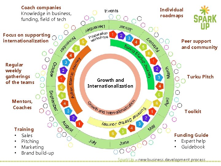 Coach companies Knowledge in business, funding, field of tech Individual roadmaps Focus on supporting