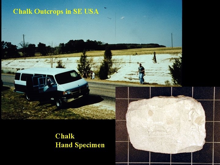 Chalk Outcrops in SE USA Chalk Hand Specimen 