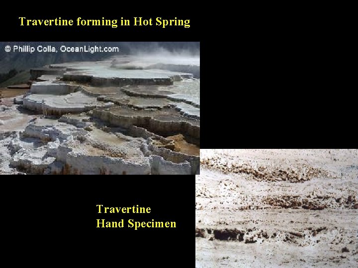 Travertine forming in Hot Spring Travertine Hand Specimen 