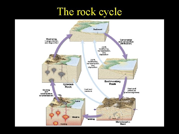 The rock cycle 