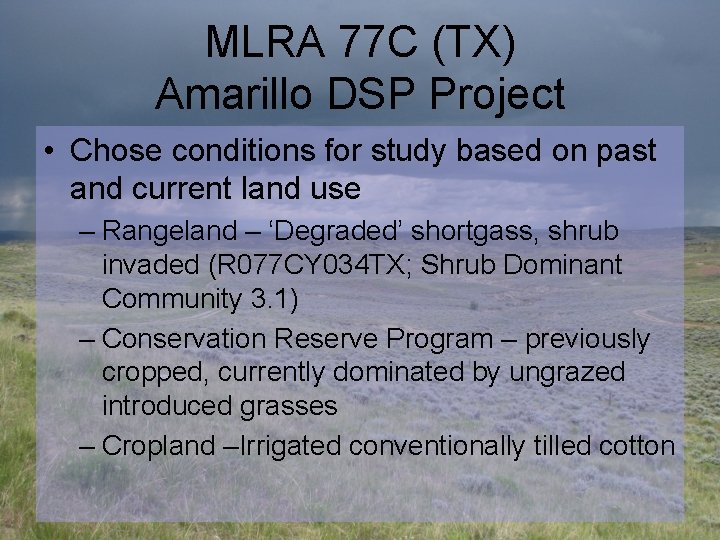 MLRA 77 C (TX) Amarillo DSP Project • Chose conditions for study based on