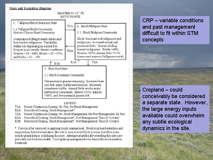CRP – variable conditions and past management difficult to fit within STM concepts Cropland